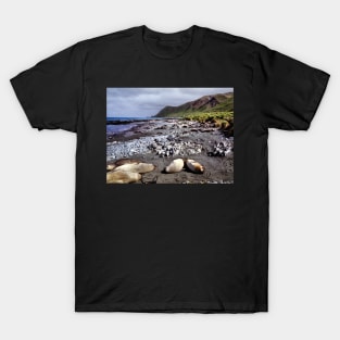 Southern Elephant Seals, Macquarie Island T-Shirt